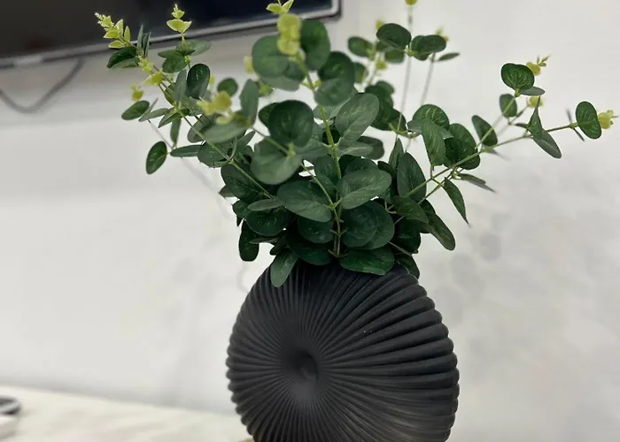 At Osario 12 Con Parking Bajo Disponibilidad 科爾多瓦